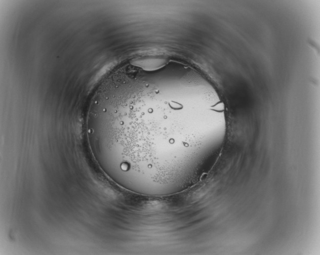 X0000099300111200805021239