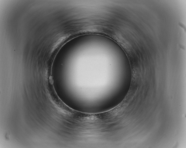 X0000099300112200805021239