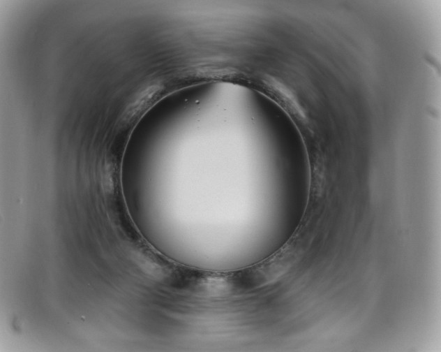 X0000099300114200805021239