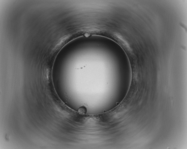 X0000099300115200805021239