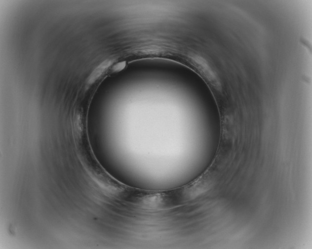 X0000099300116200805021239