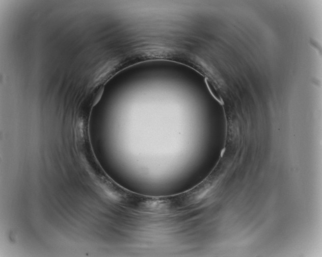 X0000099300117200805021239