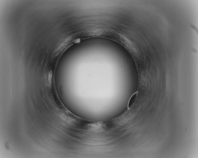 X0000099300118200805021239