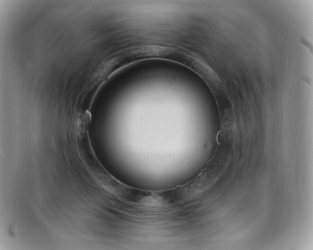 X0000099300119200805021239