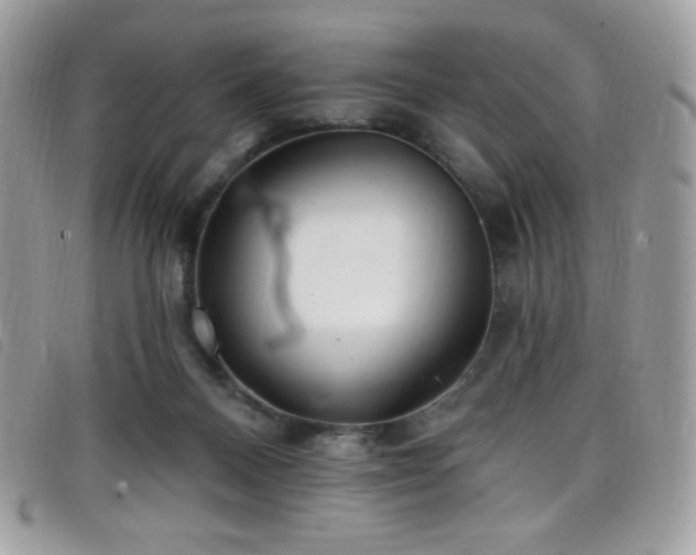 X0000099300120200805021239