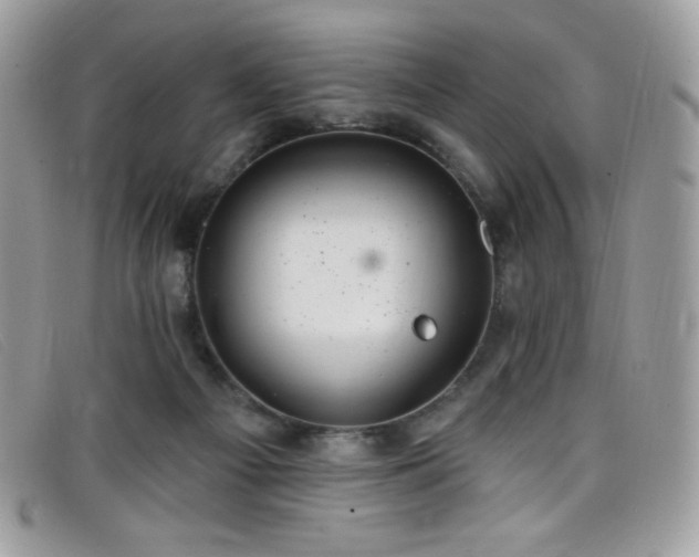 X0000099300121200805021239