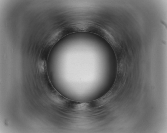 X0000099300122200805021239