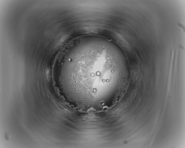 X0000099300123200805021239