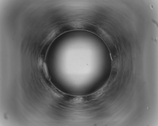 X0000099300124200805021239