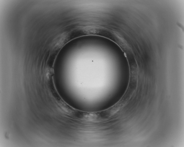 X0000099300125200805021239