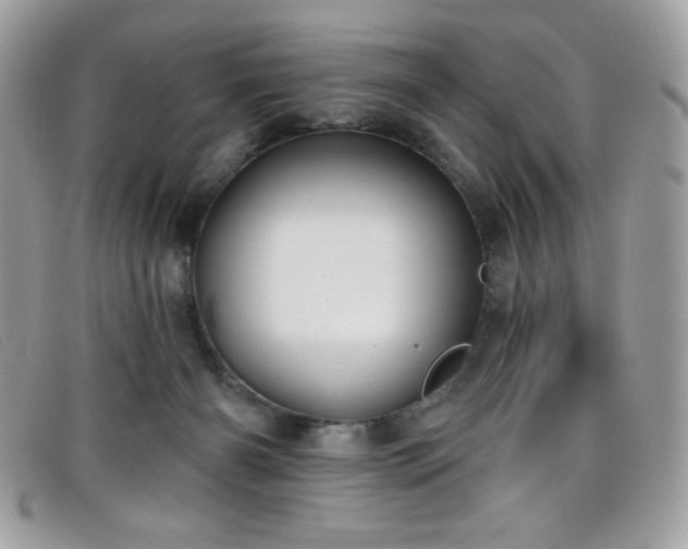 X0000099300126200805021239