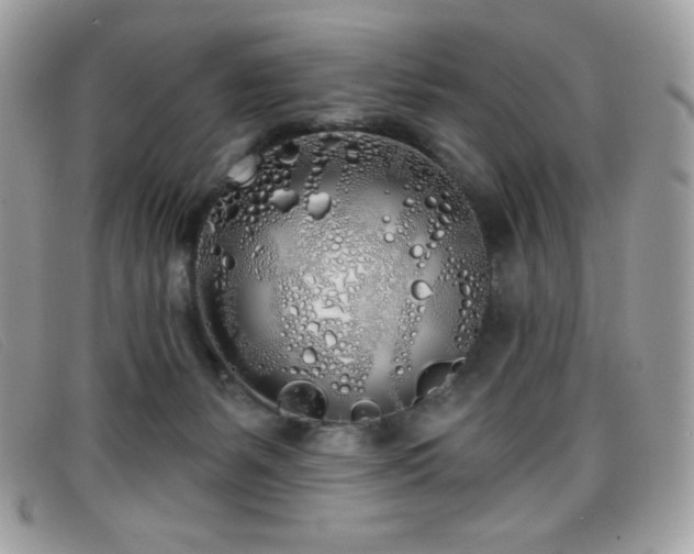 X0000099300127200805021239