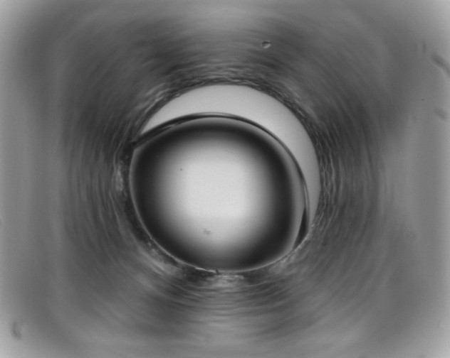 X0000099300128200805021239