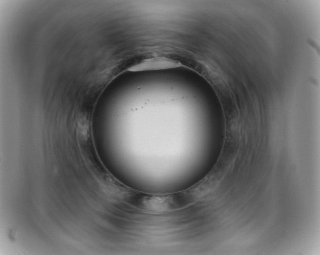 X0000099300129200805021239