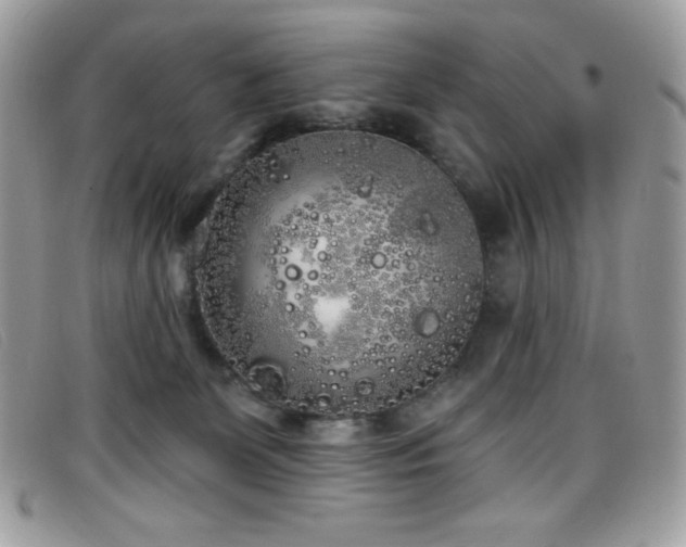 X0000099300131200805021239