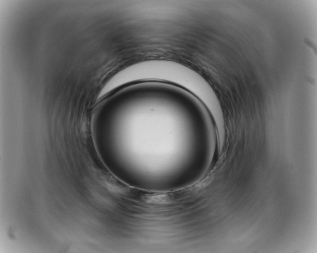 X0000099300132200805021239