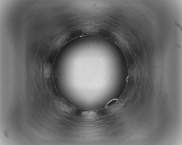 X0000099300133200805021239