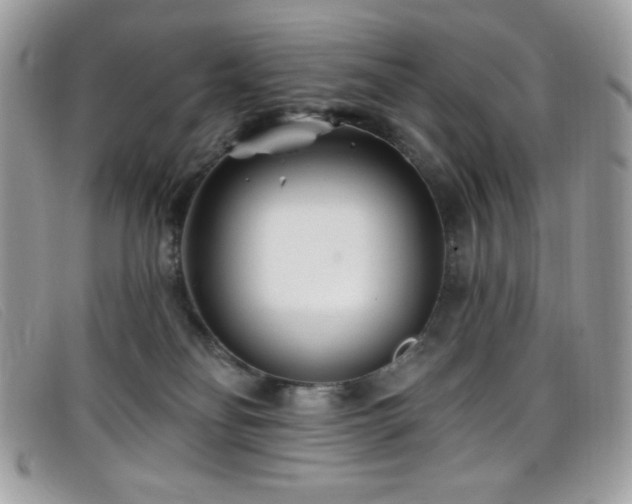 X0000099300134200805021239