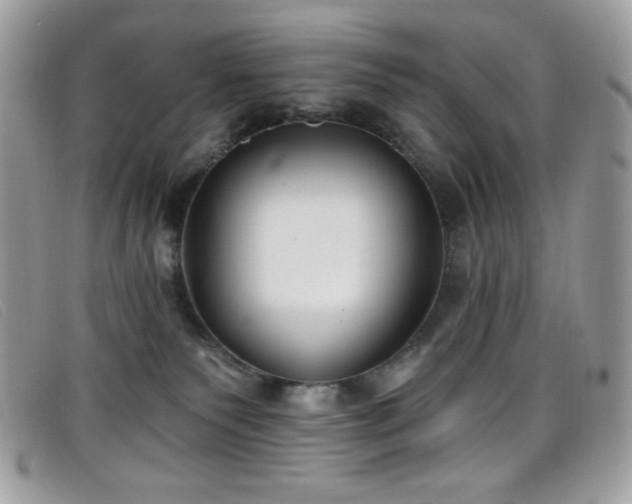 X0000099300135200805021239