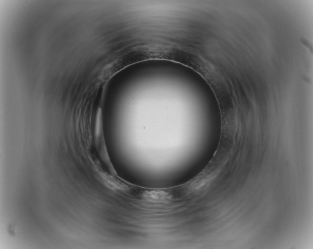 X0000099300137200805021239