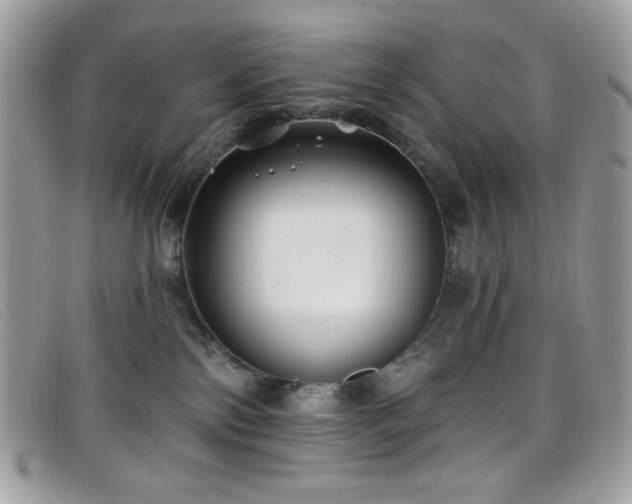 X0000099300138200805021239