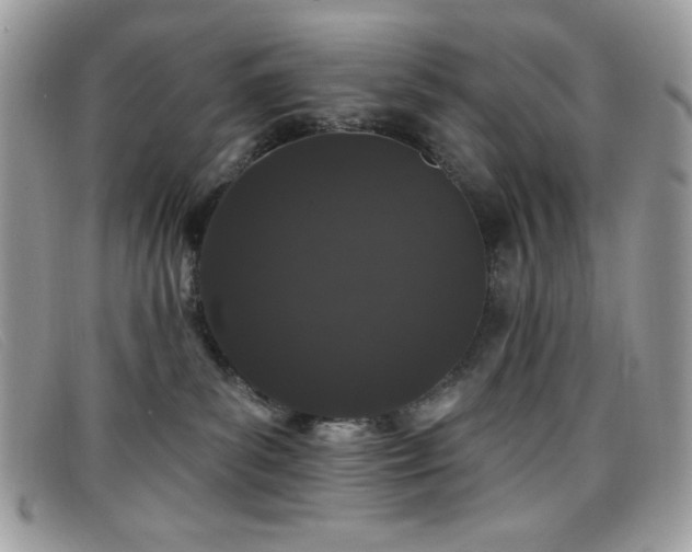 X0000099300139200805021239