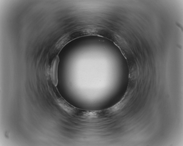 X0000099300140200805021239