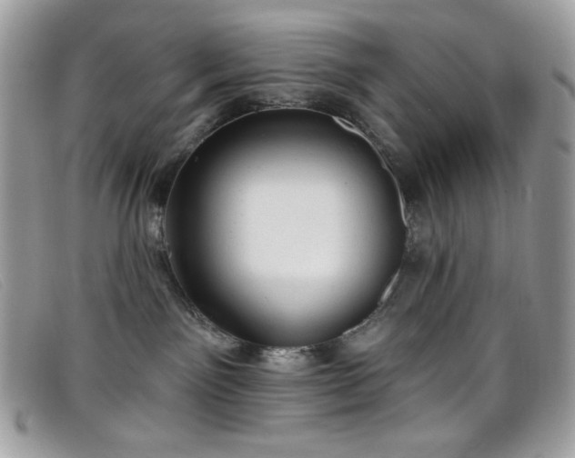 X0000099300141200805021239