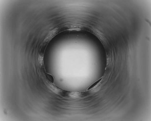 X0000099300142200805021239