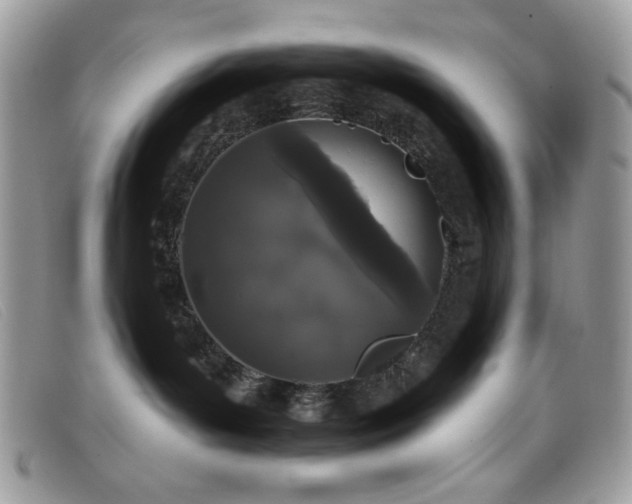 X0000099300143200805021239