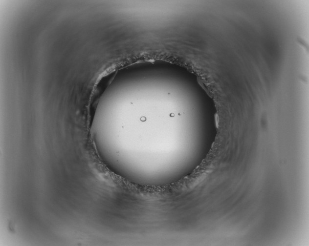 X0000099300144200805021239