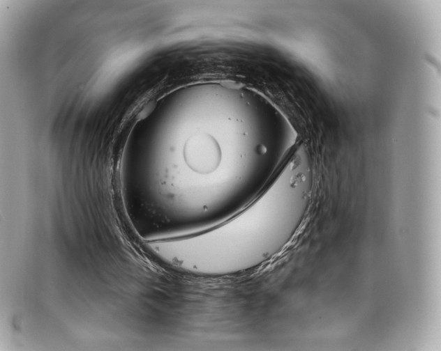 X0000099300146200805021238