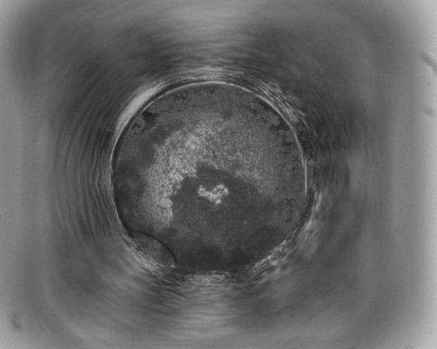 X0000099300147200805021238