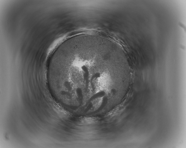 X0000099300149200805021238