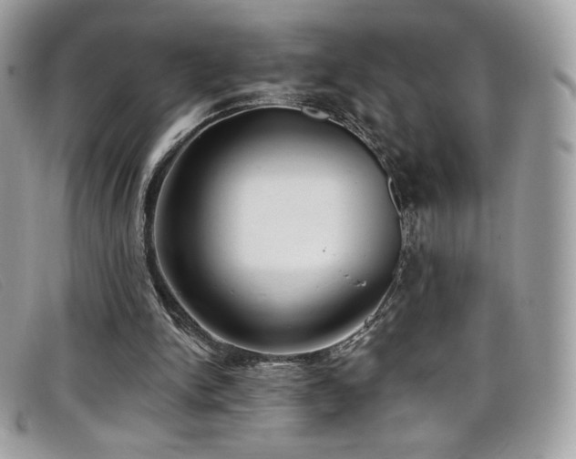 X0000099300150200805021238