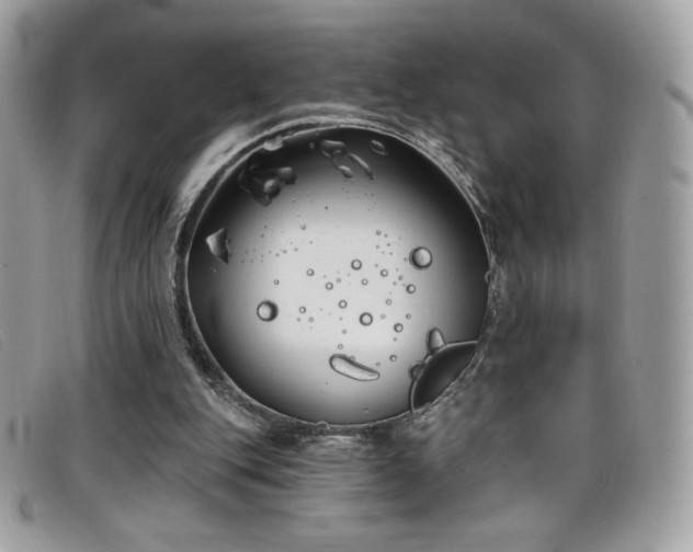 X0000099300151200805021238