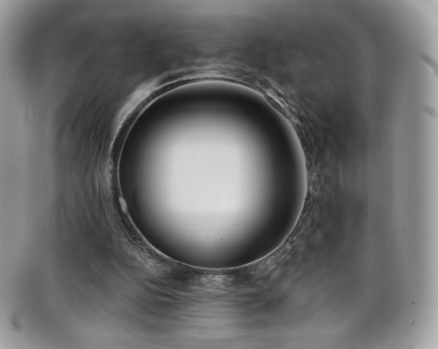 X0000099300152200805021238