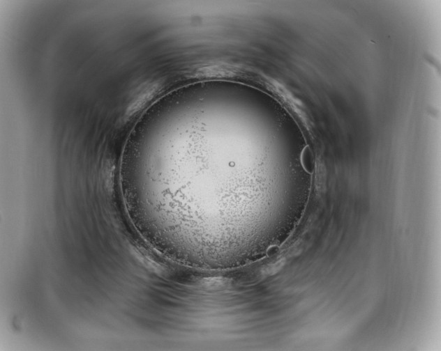 X0000099300153200805021238