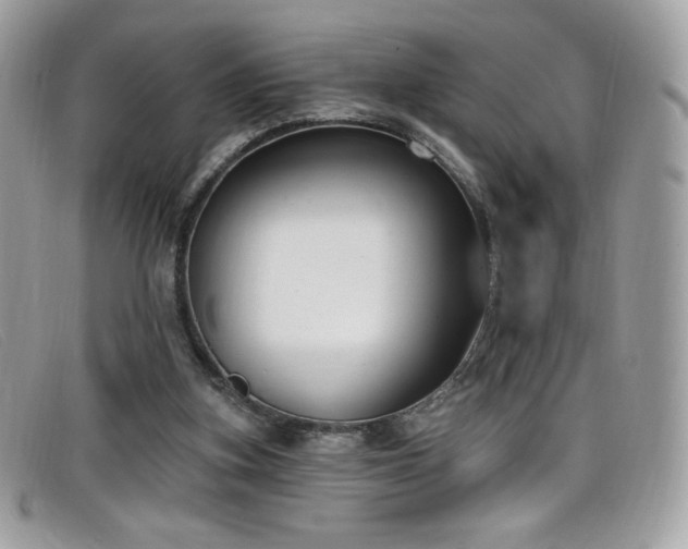 X0000099300155200805021238