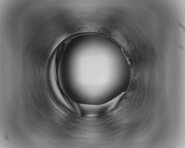 X0000099300156200805021238