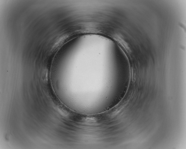 X0000099300157200805021238