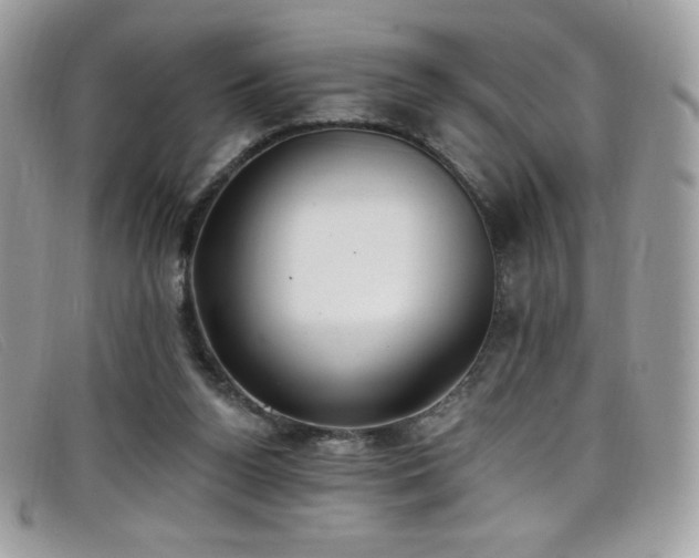 X0000099300160200805021238