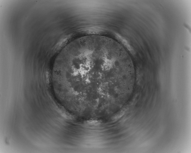 X0000099300161200805021238