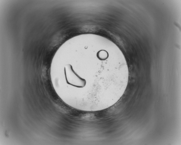 X0000099300162200805021238