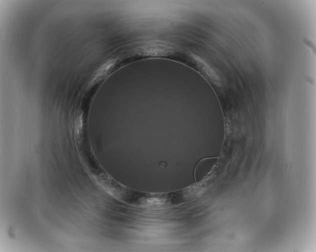 X0000099300163200805021238