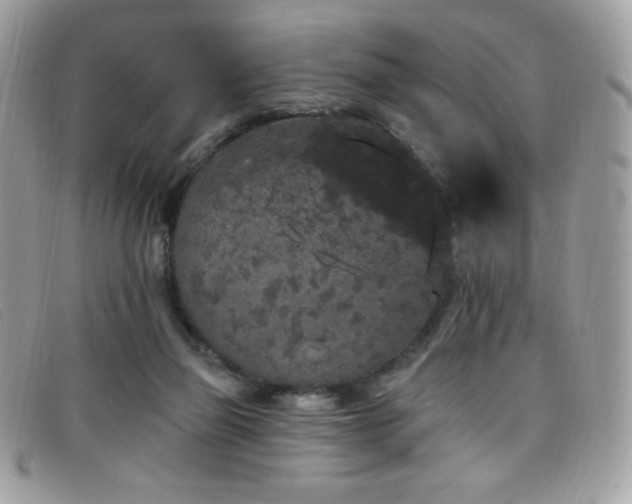 X0000099300165200805021238