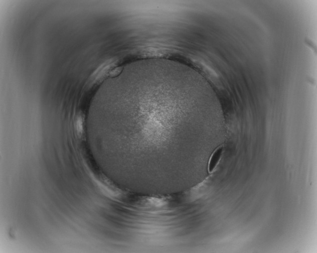 X0000099300166200805021238