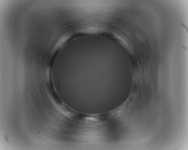 X0000099300167200805021238