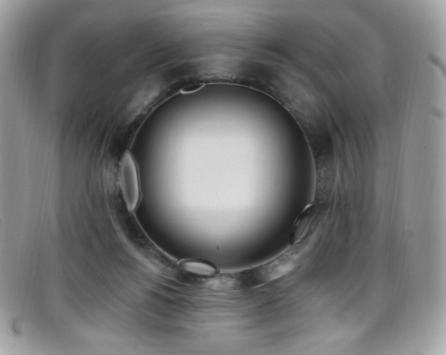 X0000099300168200805021238