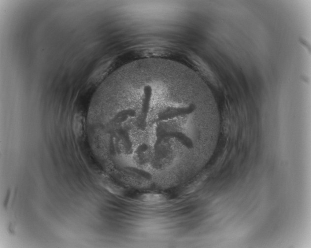 X0000099300169200805021239